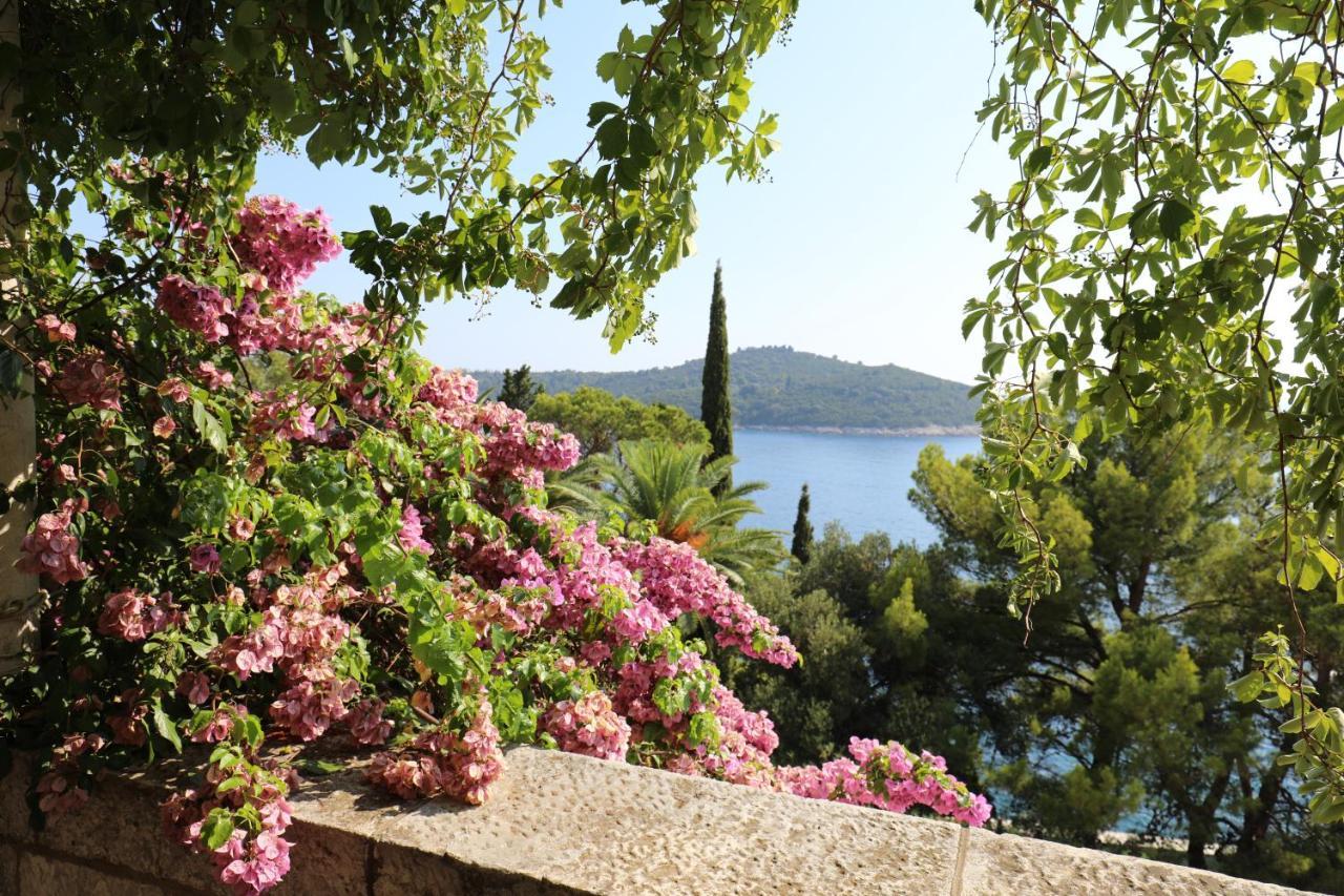 Apartment Vent Dubrovnik Dış mekan fotoğraf