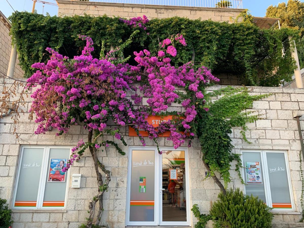 Apartment Vent Dubrovnik Dış mekan fotoğraf
